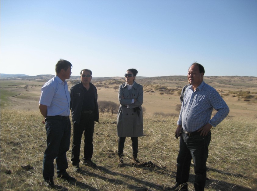 發(fā)揮資源優(yōu)勢，提高產(chǎn)業(yè)鏈競爭力——協(xié)會(huì )為企業(yè)間的合作搭建平臺