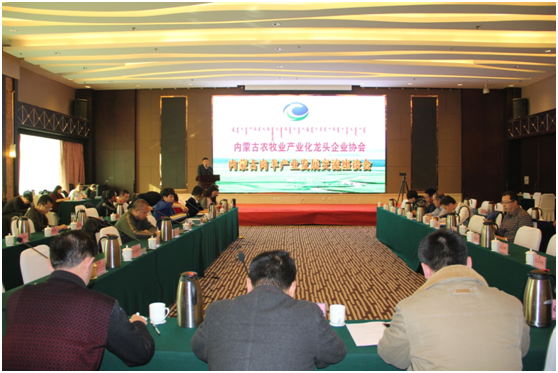 行業(yè)大咖齊聚青城  共話行業(yè)發(fā)展新篇章——內(nèi)蒙古肉羊產(chǎn)業(yè)發(fā)展交流座談會在呼舉行